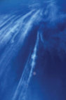 Image: T.A.L.K. Associates Logo